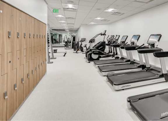 A gym with treadmills and exercise equipment.