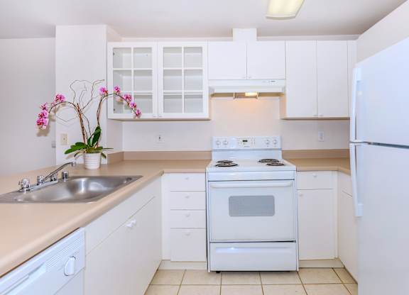 A white kitchen with a stove, sink, and cabinets.