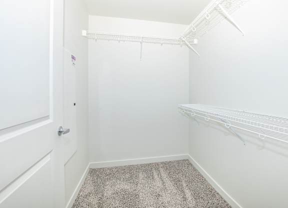 A white closet with a carpeted floor and a door.