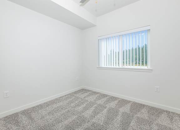 A room with a carpeted floor and a window with blinds.