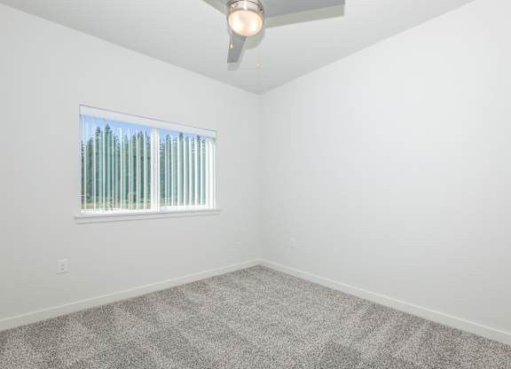 A room with a carpeted floor and a ceiling fan.