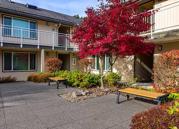A red tree in front of a building.
