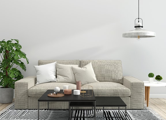 A living room with a grey couch, a black coffee table, and a potted plant.