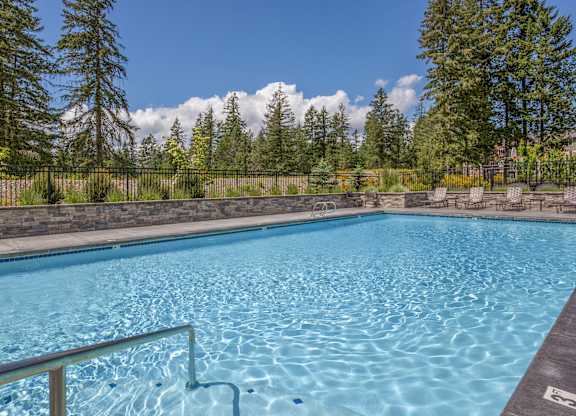 A swimming pool surrounded by trees and a fence.