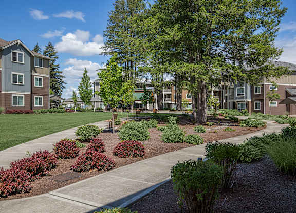 A large tree in a landscaped area in front of apartment buildings.