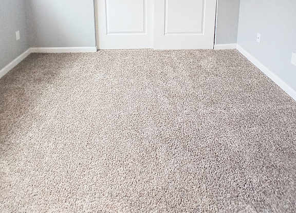A room with a white door and carpeted floor.