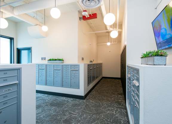 A hallway with a row of filing cabinets on the left and a row of plants on the right.