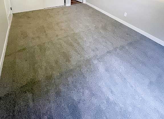 A room with a carpeted floor and two white doors.
