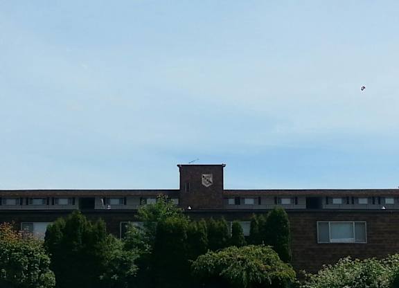 A building with a chimney and trees in front of it.