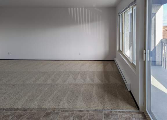 A room with a carpeted floor and a sliding glass door.