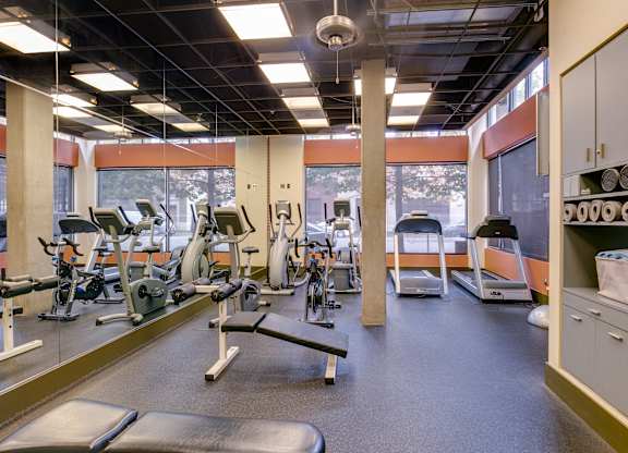 A gym with a variety of equipment including treadmills, stationary bikes, and weight machines.
