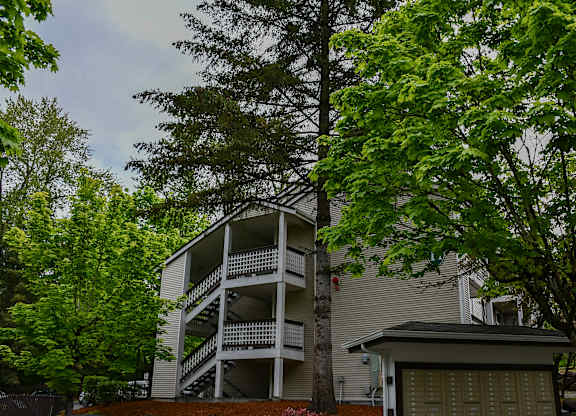 A tree is in front of a two-story building.
