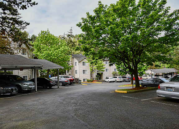 A parking lot with cars and trees.