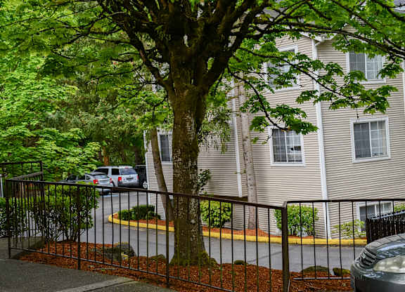 A tree in front of a building with a car parked in the driveway.