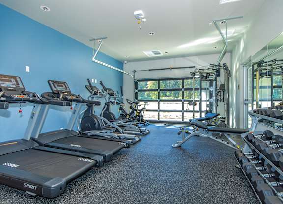 A gym with treadmills and elliptical machines.