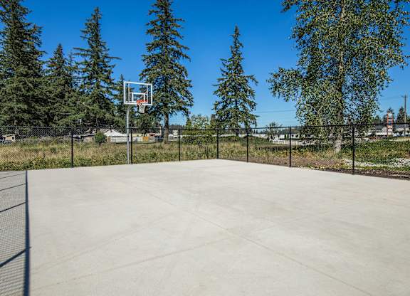 A basketball court surrounded by trees and a fence.