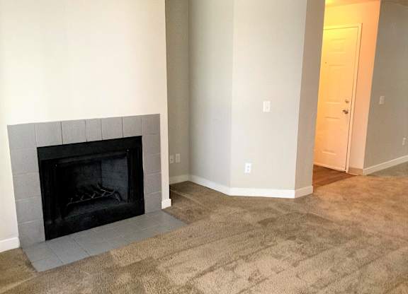 A fireplace in a room with a carpeted floor.