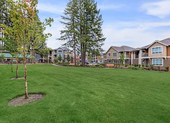 A tree in a grassy area in front of apartment buildings.