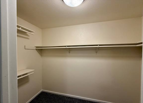 A small, empty closet with a black carpeted floor.