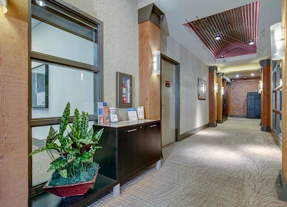 A hallway with a plant on a counter and a red wall.