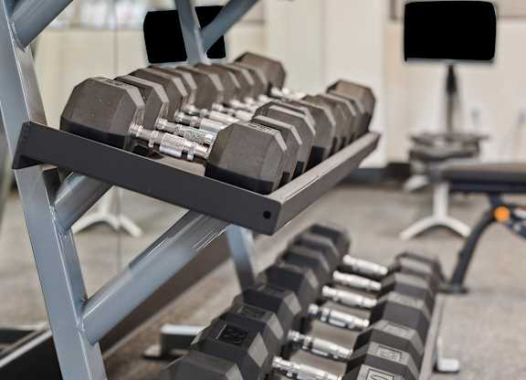 A set of dumbbells are on a rack in a gym.