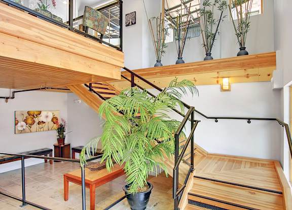 A large green plant sits on a wooden table in a room with a glass ceiling.