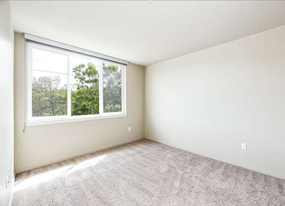 A room with a carpeted floor and a window overlooking trees.