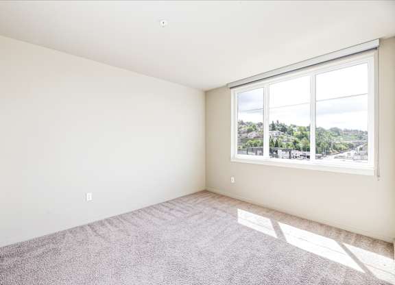 A room with a large window and carpeted floor.