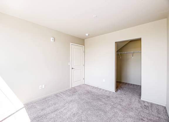A room with a carpeted floor and a closet with an open door.