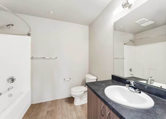 A bathroom with a white toilet and a black countertop.
