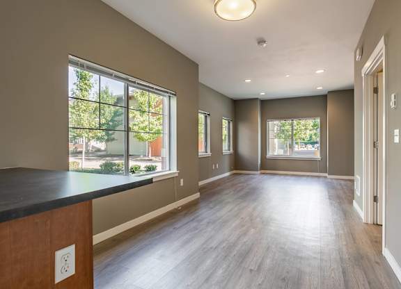A large empty room with wooden floors and a window overlooking a tree-filled street.