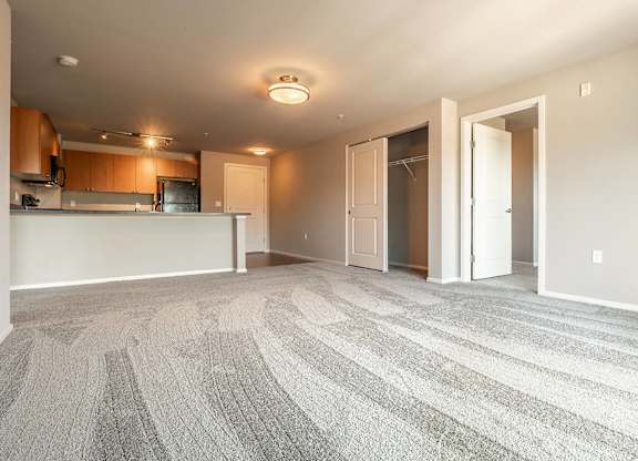 A large, empty room with a carpeted floor and a kitchen area in the background.