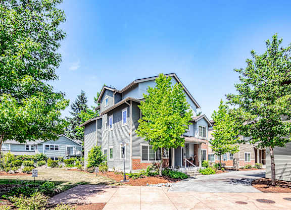 A house with a grey facade is surrounded by green trees.