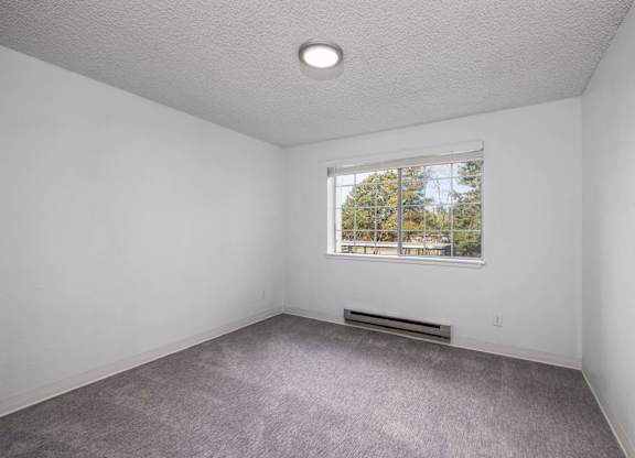 A room with a window and a carpeted floor.