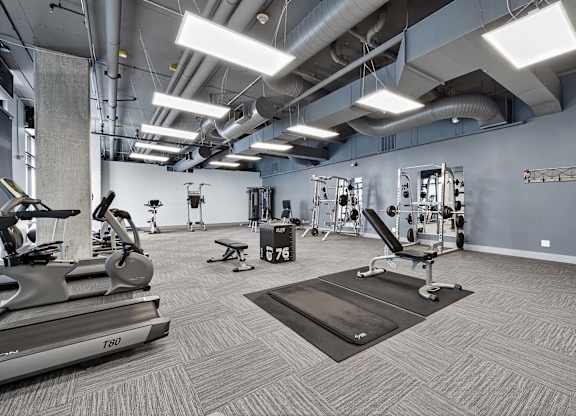A gym with treadmills, weights, and exercise equipment.