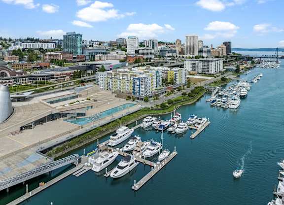 A marina with boats docked in the foreground and a city skyline in the background.