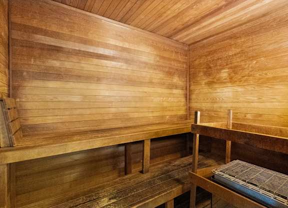 A wooden sauna with benches and a door.
