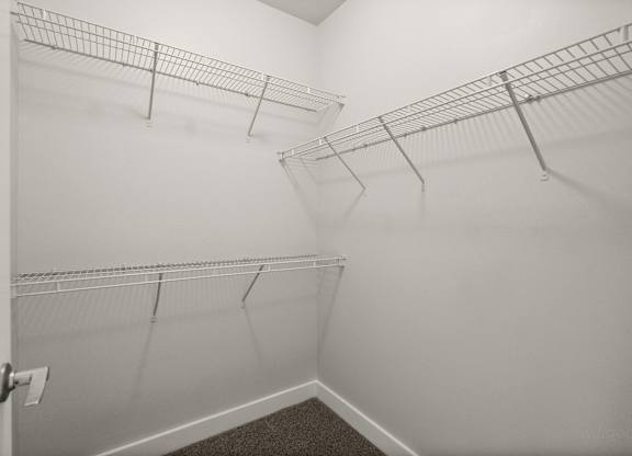 A white closet with a carpeted floor and a door on the left.