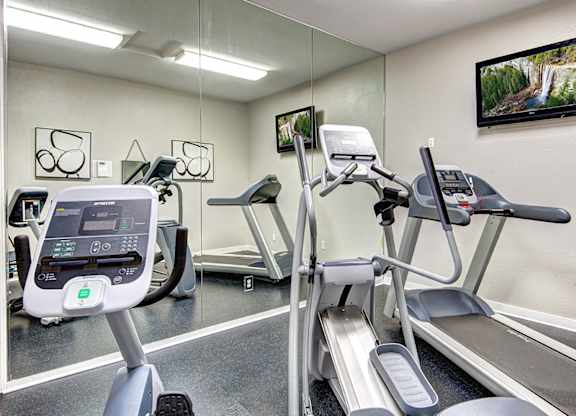 A gym with treadmills and elliptical machines.