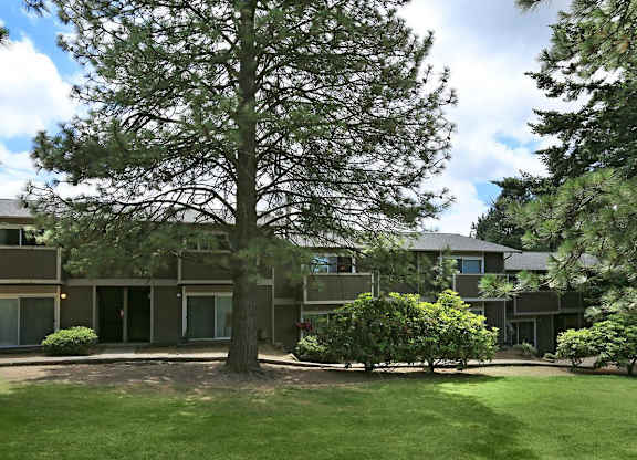 A large tree stands in front of a building with a green lawn.
