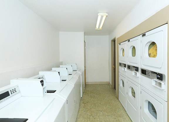 A row of white washing machines in a laundry room.