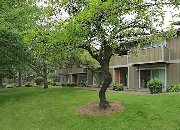 A tree in a grassy area in front of a building.