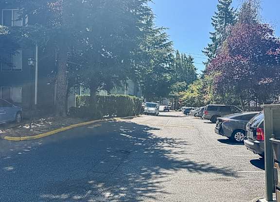 A sunny day on a tree-lined street with cars parked on the side.
