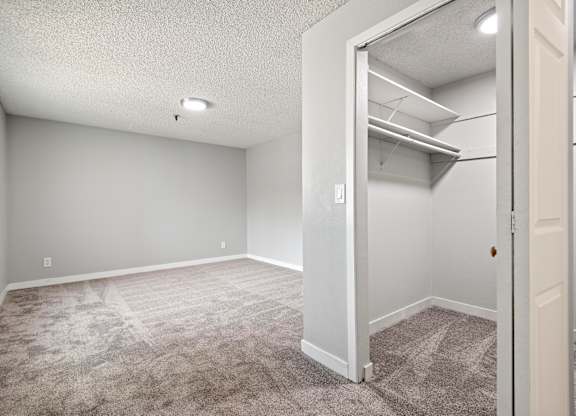 A room with a carpeted floor and a closet with shelves.
