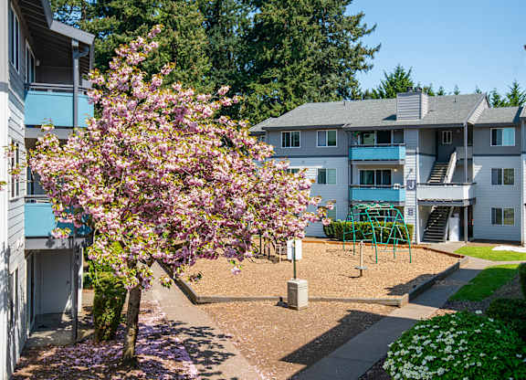 A tree with pink flowers is in the foreground of a residential area.
