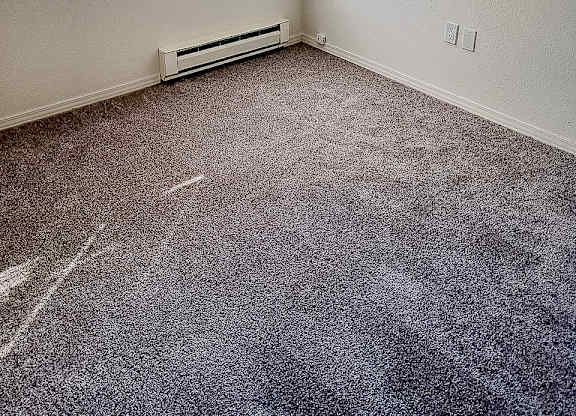 A room with a window and a carpeted floor.