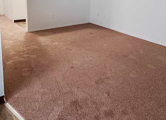 A room with white walls and a brown carpet.