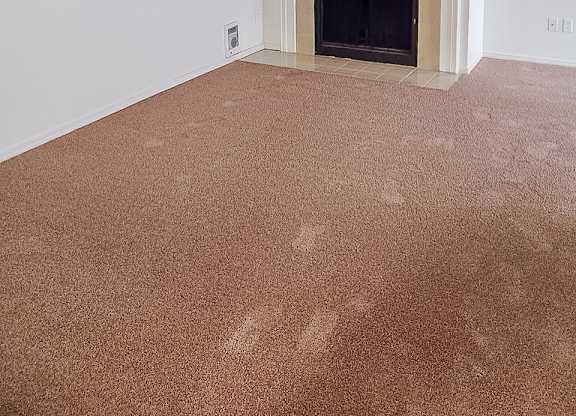 A room with a fireplace and carpeted floor.