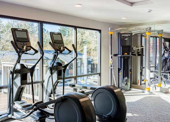 A gym with treadmills and elliptical machines.