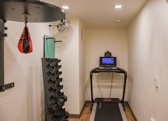 A treadmill is in a room with a punching bag hanging from the ceiling.